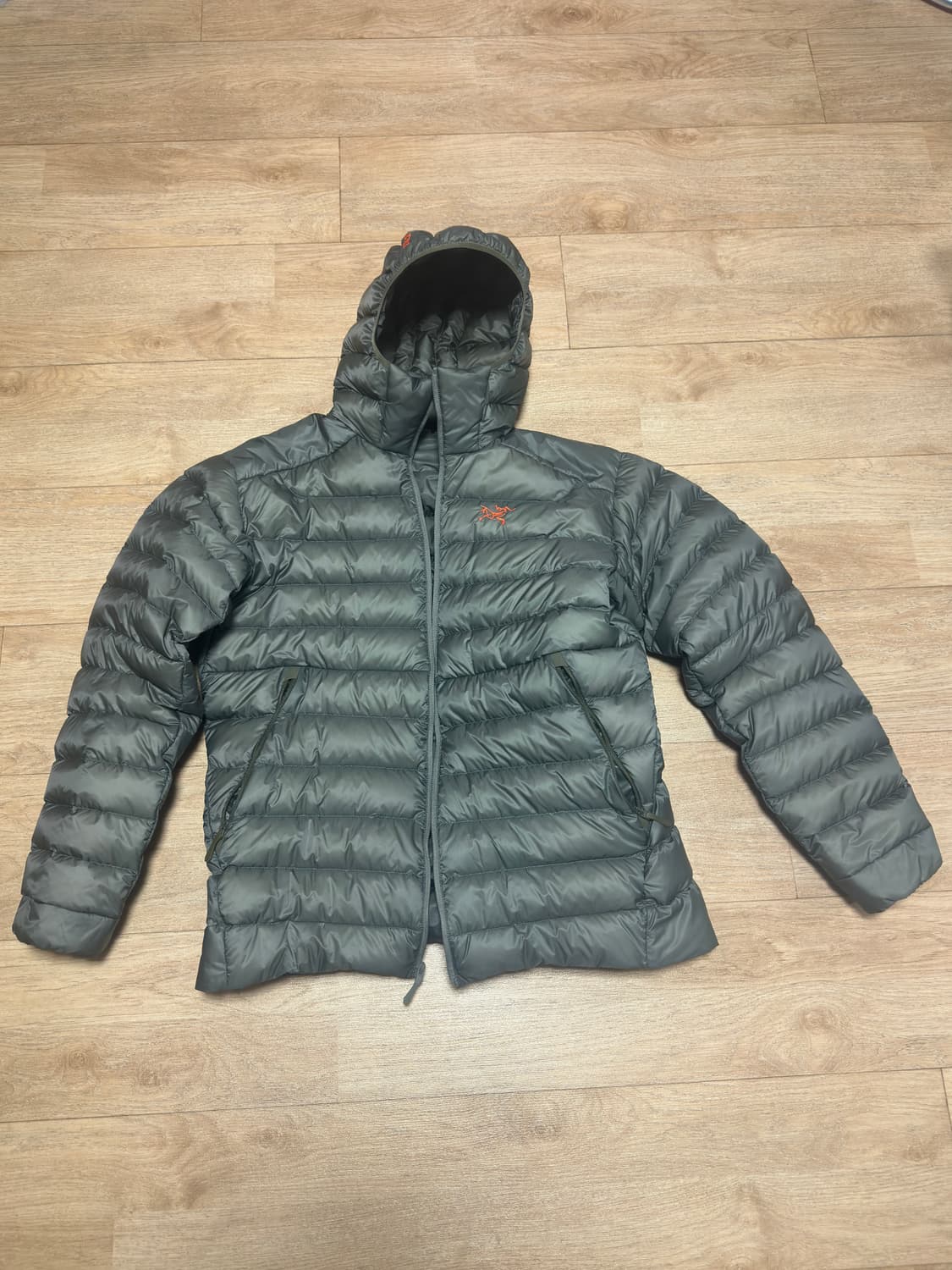 아크테릭스 세륨 후디 포리지 베르베 L 상품이미지1