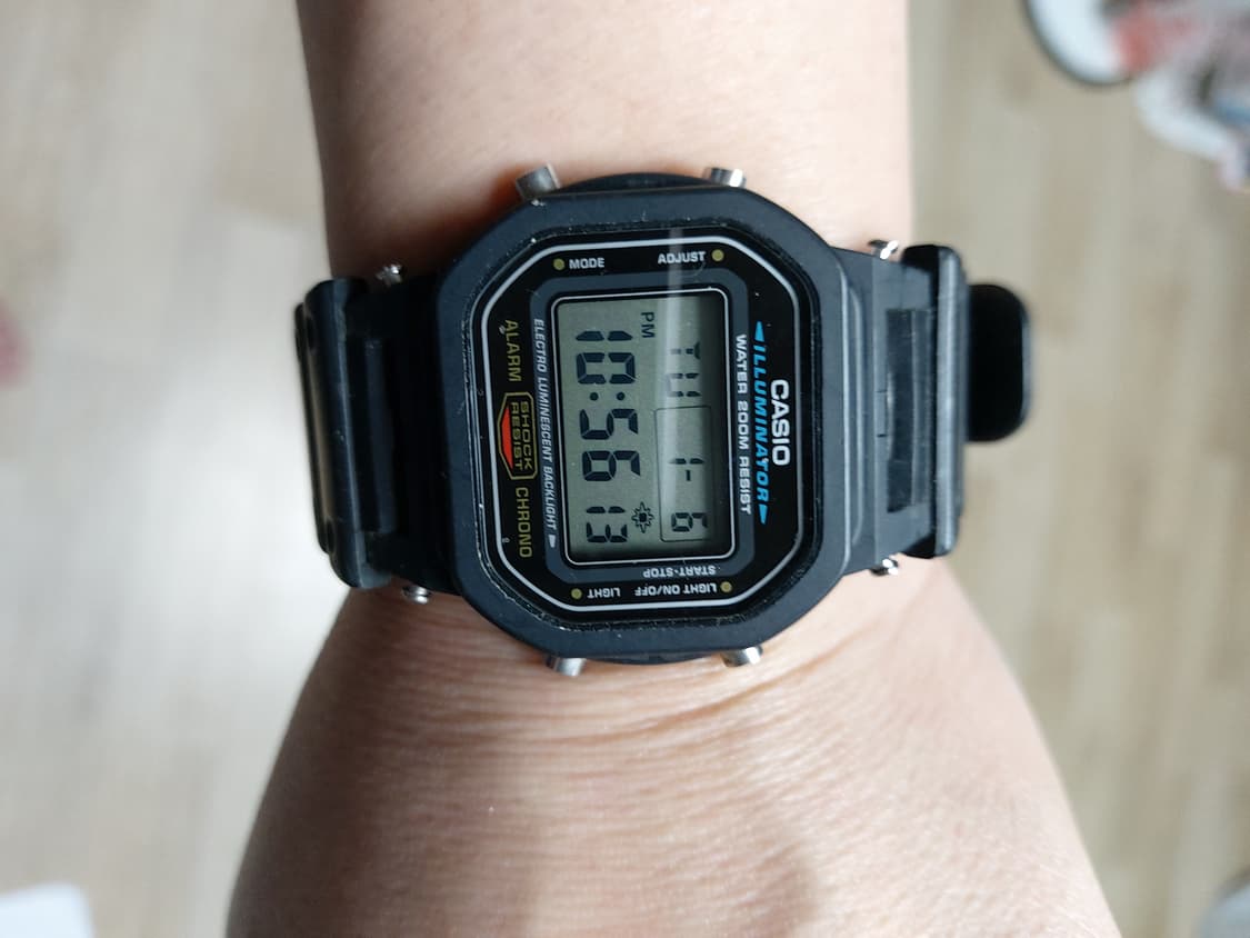 쥐샥흑곰  상품이미지4