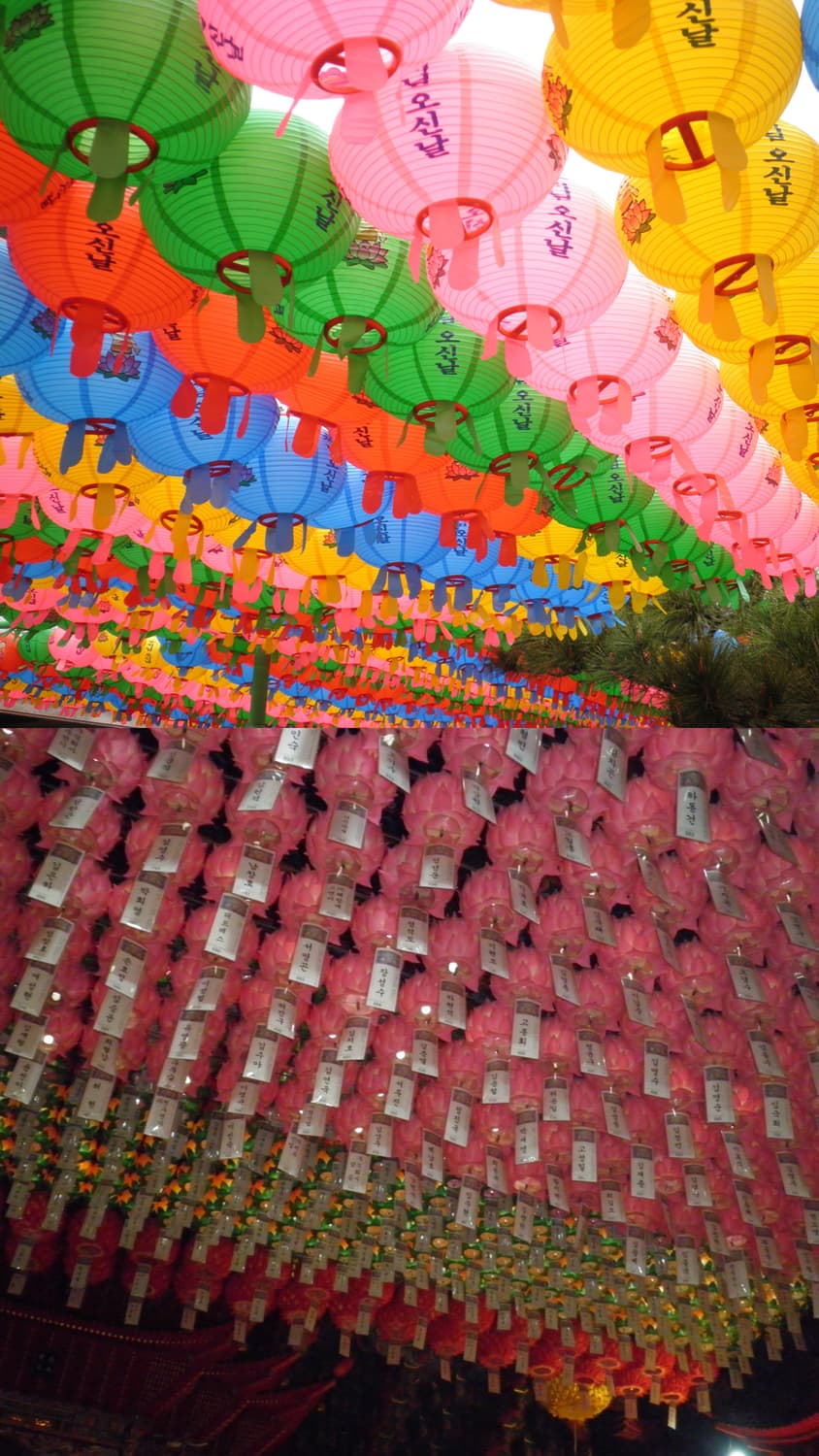 올림푸스 뮤 5010 (작례O) 상품이미지6