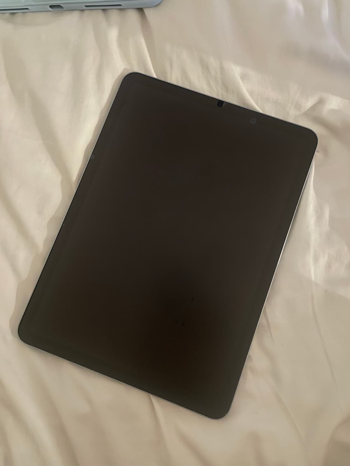 아이패드 에어4 스카이블루 64GB wi-fi 상품이미지2