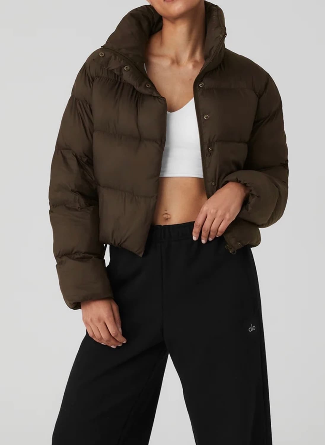 알로 골드 러쉬 푸퍼 Gold rish puffer 상품이미지1