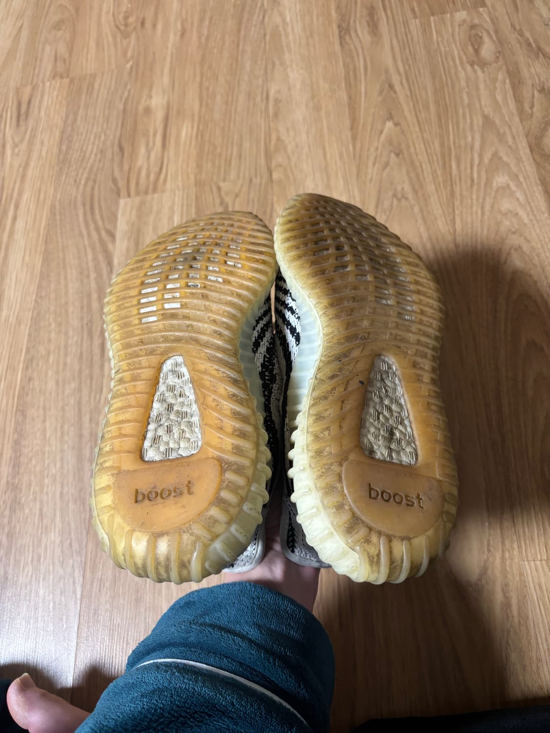 이지부스트 지브라 상품이미지4