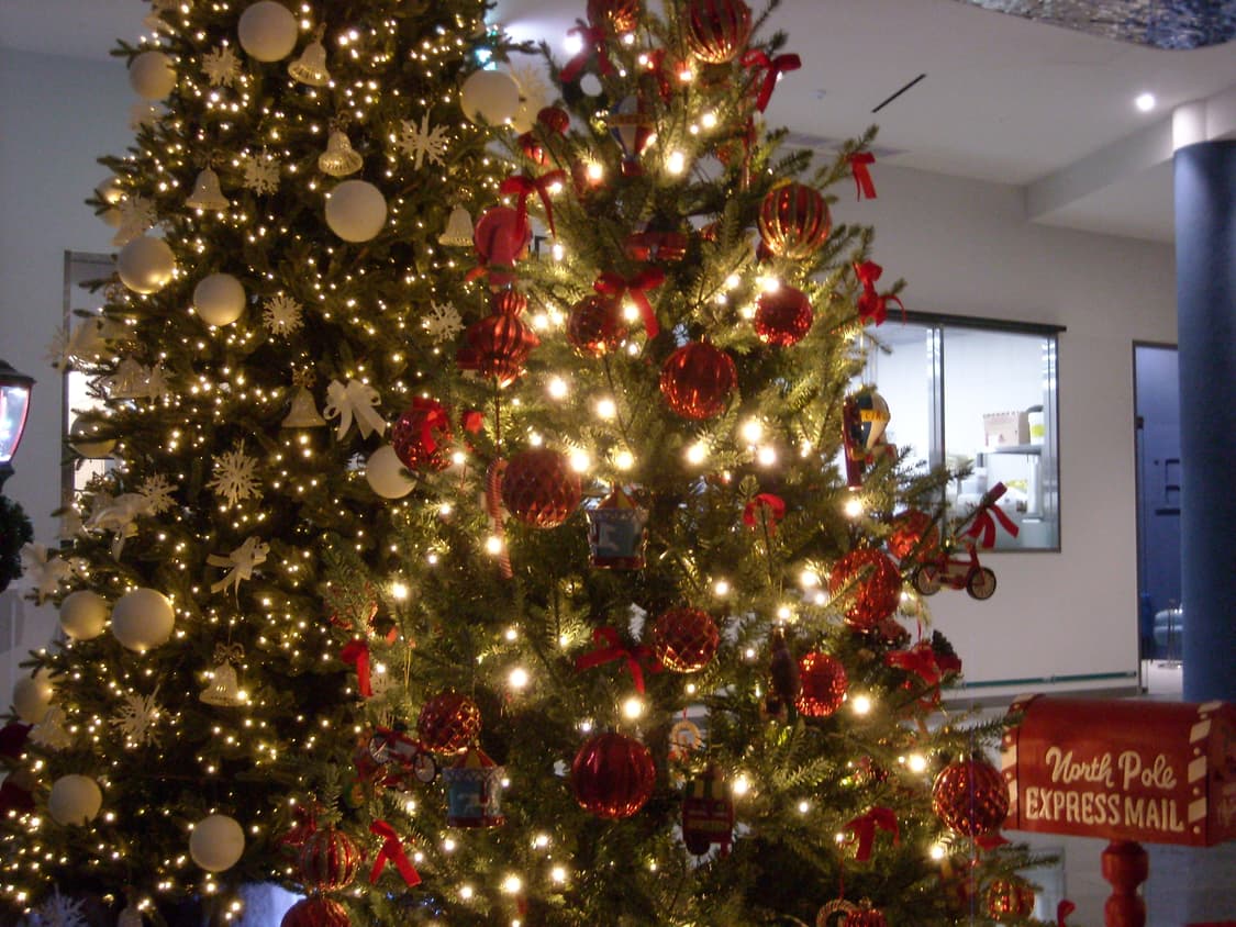 니콘 COOLPIX 디카 L15 실버 상품이미지3