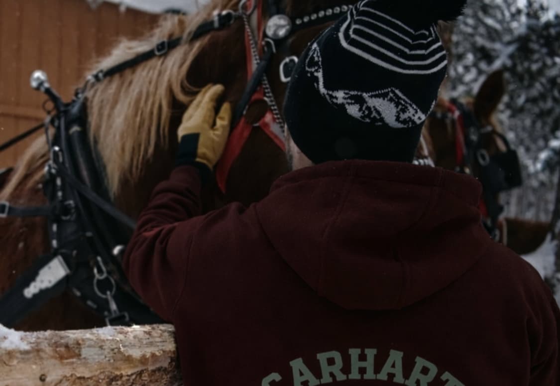 [새상품] 칼하트 후드티 기모 상품이미지7