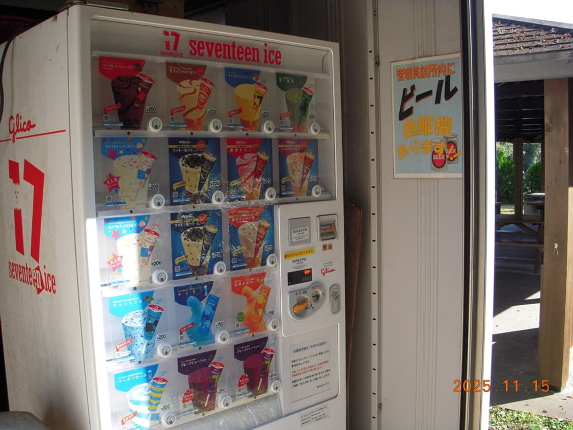 니콘 쿨픽스 Nikon Coolpix S52 브라운 상품이미지3