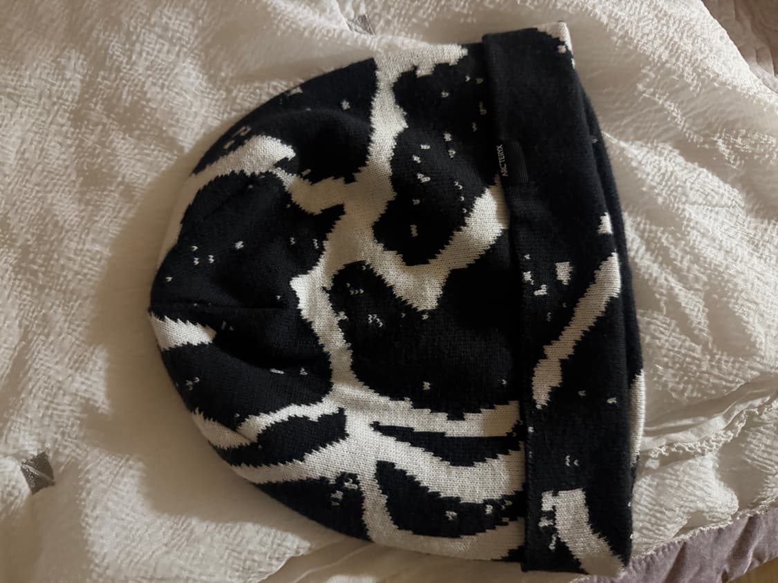 아크테릭스 비니 상품이미지1