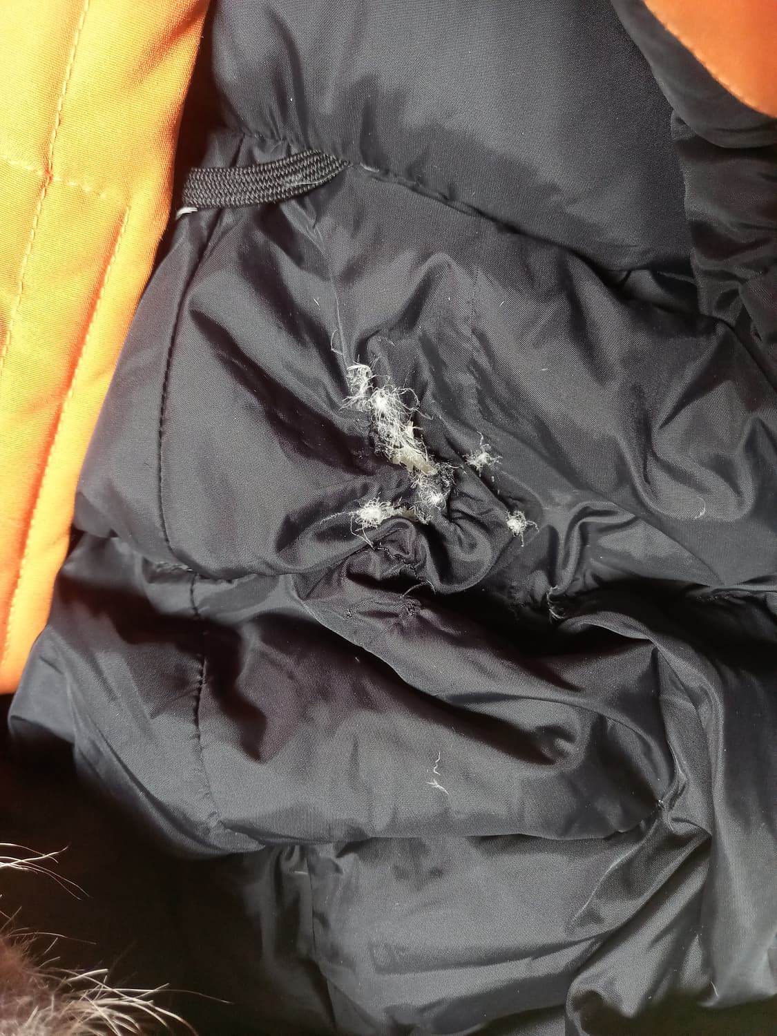 캐나다구스 익스페디션 파카   S 상품이미지8