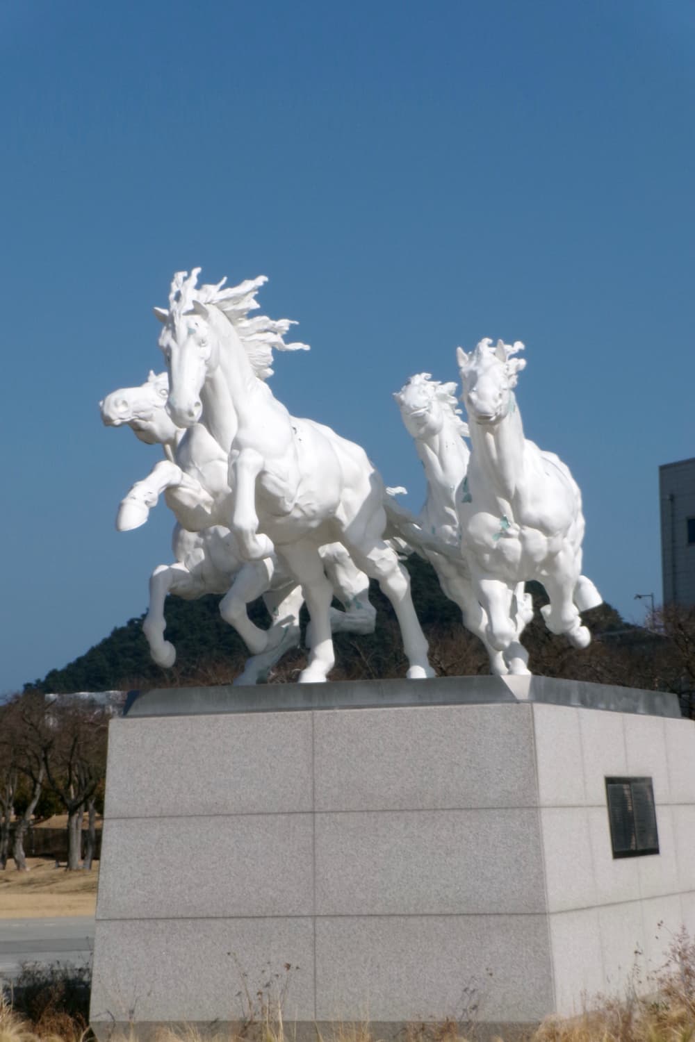 코닥 픽스프로 fz55 실버 상품이미지10