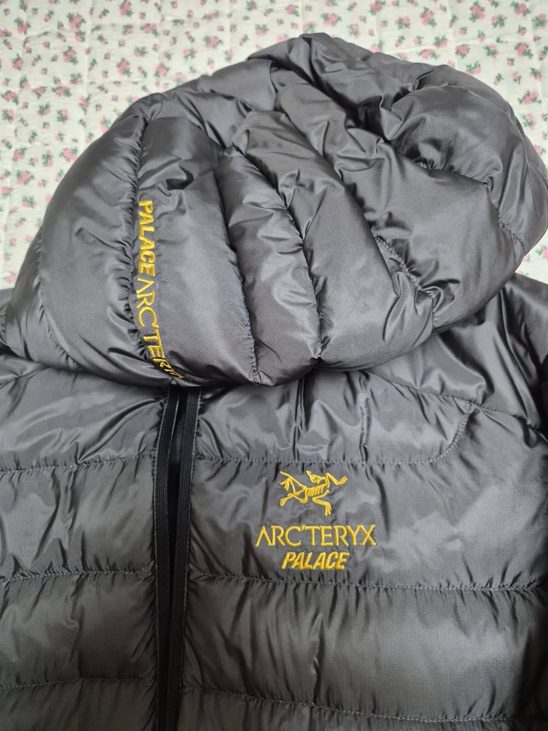 M) 아크테릭스 팔라스 세륨 lt 후디 상품이미지4