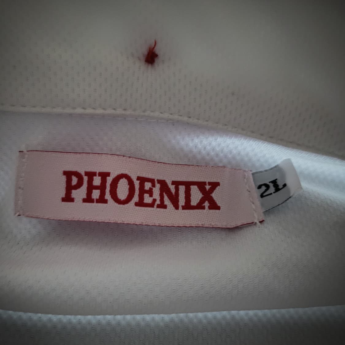 Phoenix Football polo tee 상품이미지4