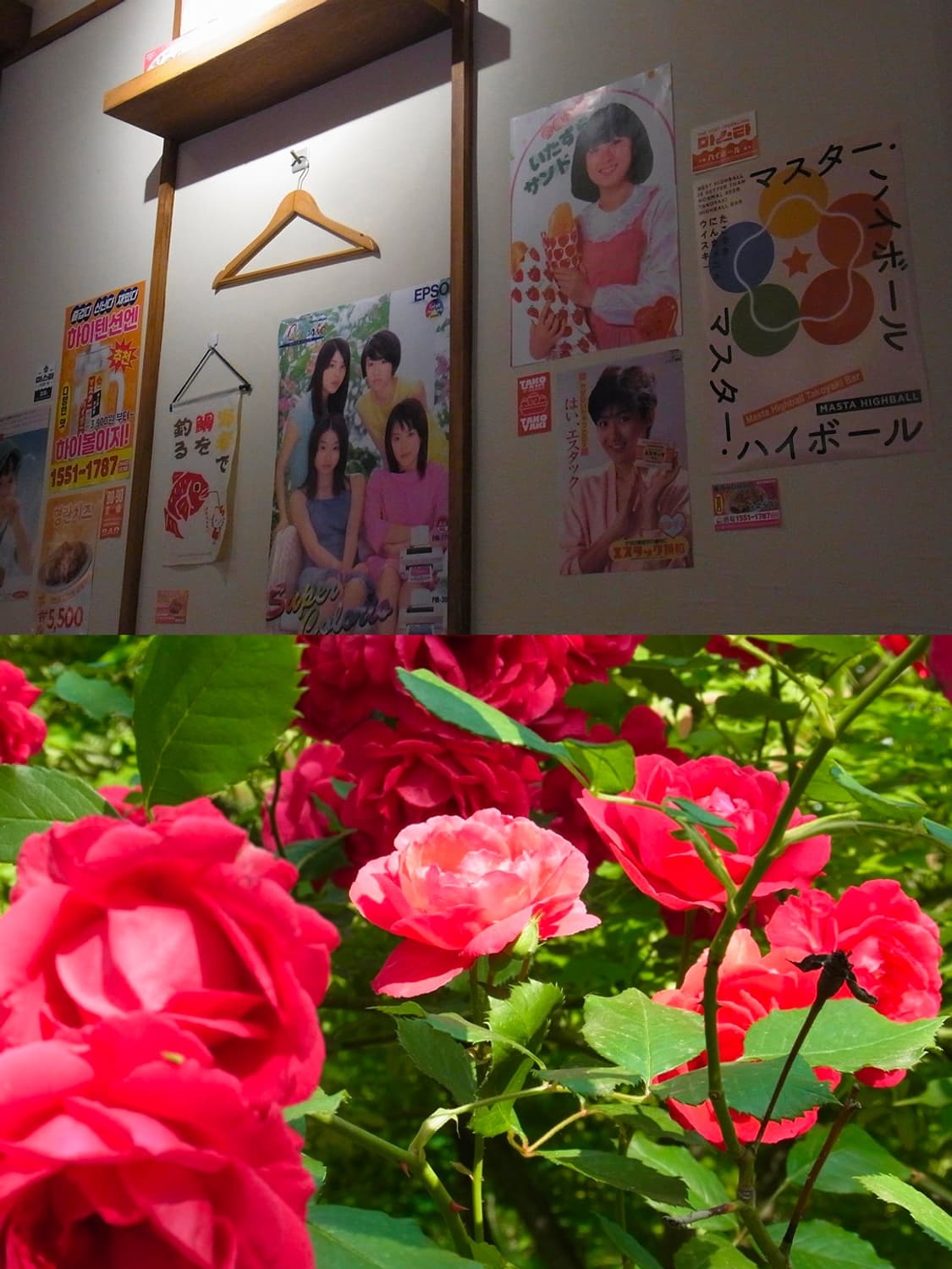 🌙 리코 CX4 🌙 빈티지 디카 상품이미지7