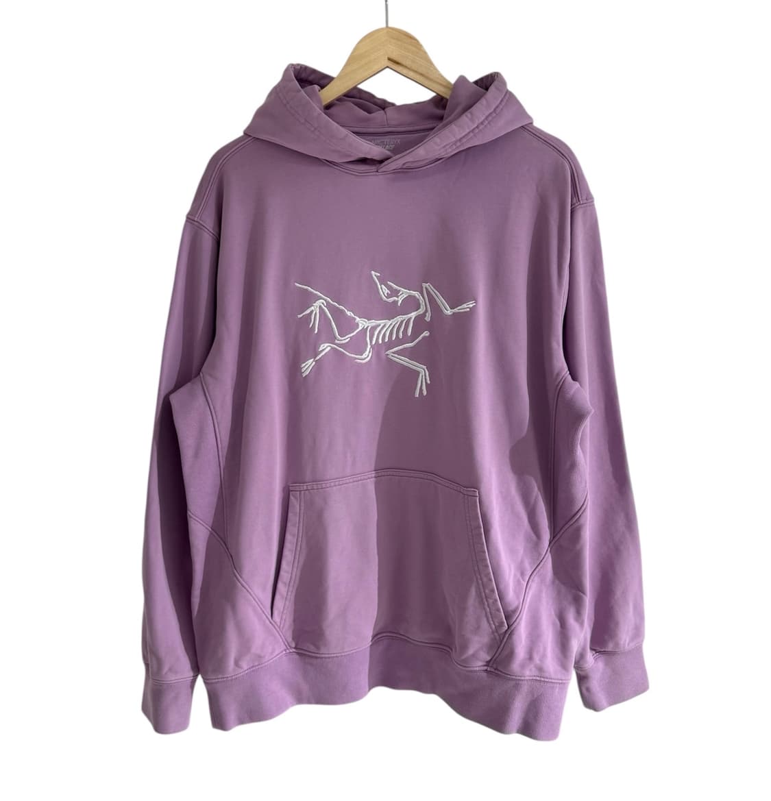 아크테릭스 X 팔라스 후드 헤이즈 상품이미지1