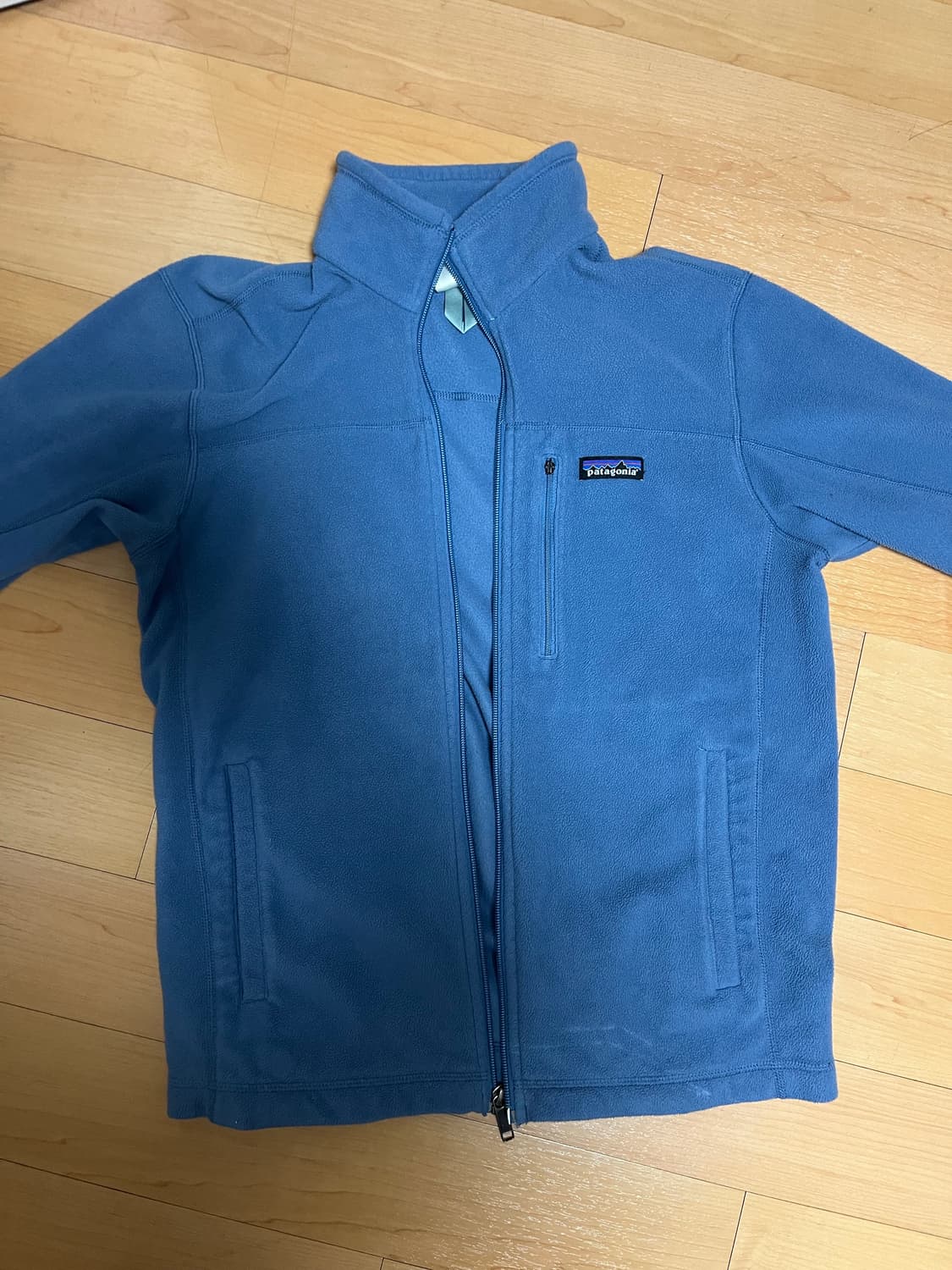 파타고니아 마이크로 디 후리스 상품이미지2