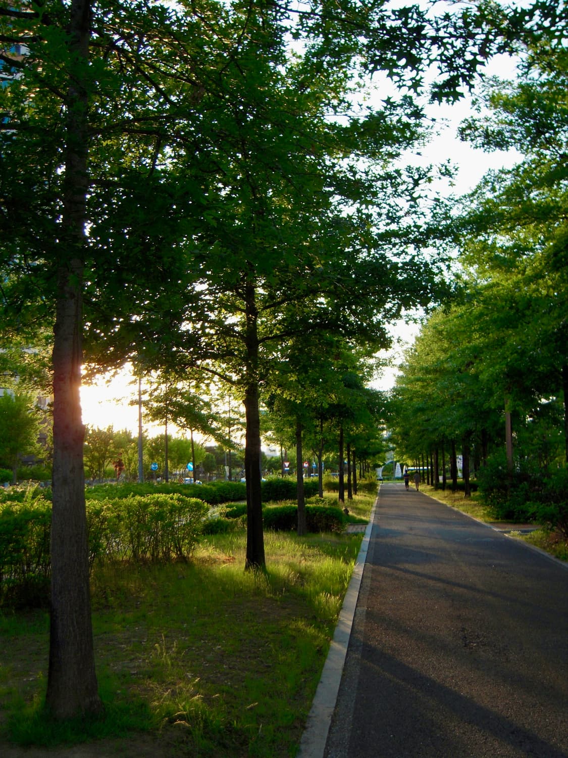 (박스셋) 니콘 Nikon coolpix s600 디카 상품이미지6