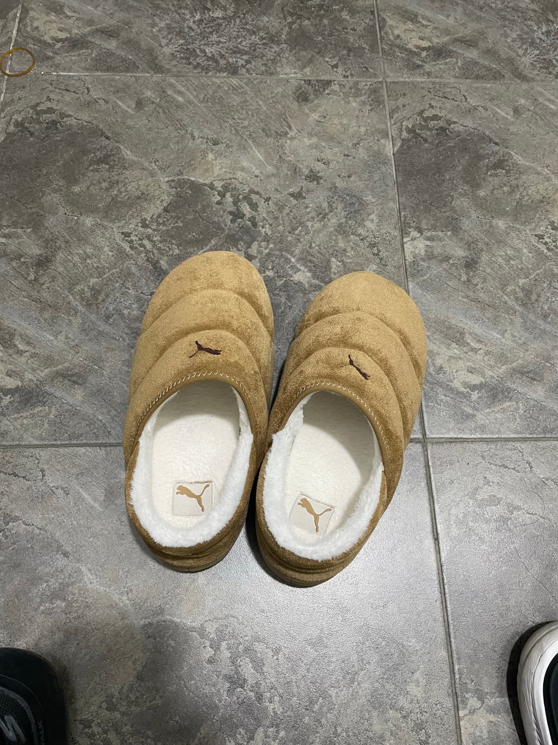 푸마 250 터프테라 SD 데저트탄 아이보리 406792-01 상품이미지4