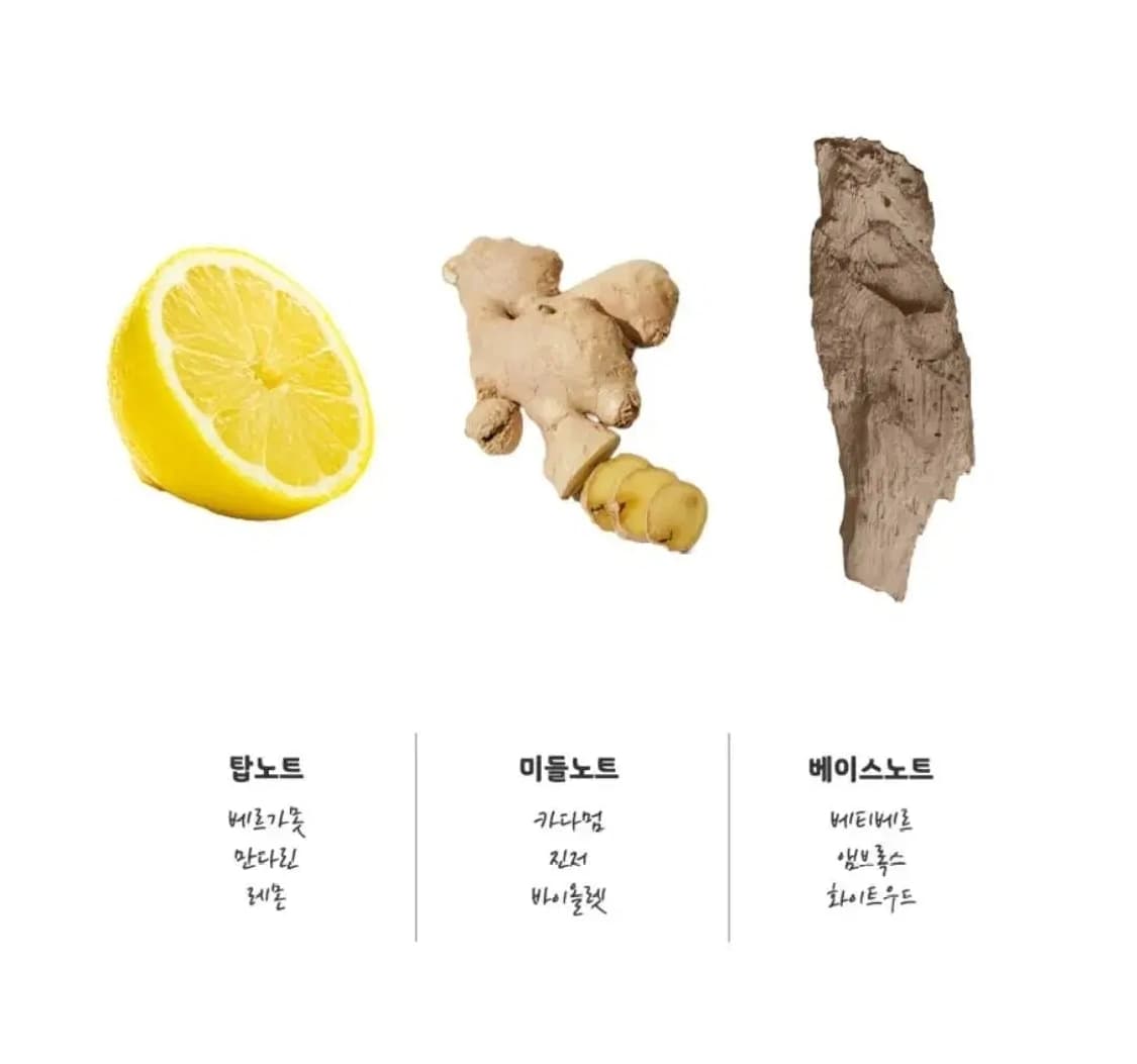 디스퀘어드2 우드 뿌르옴므 오드뚜왈렛 100ml 상품이미지3