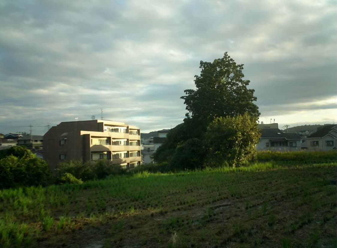 짱귀엽고..희귀😍초소형 감성디카✨casio EXILIM Z20 상품이미지5