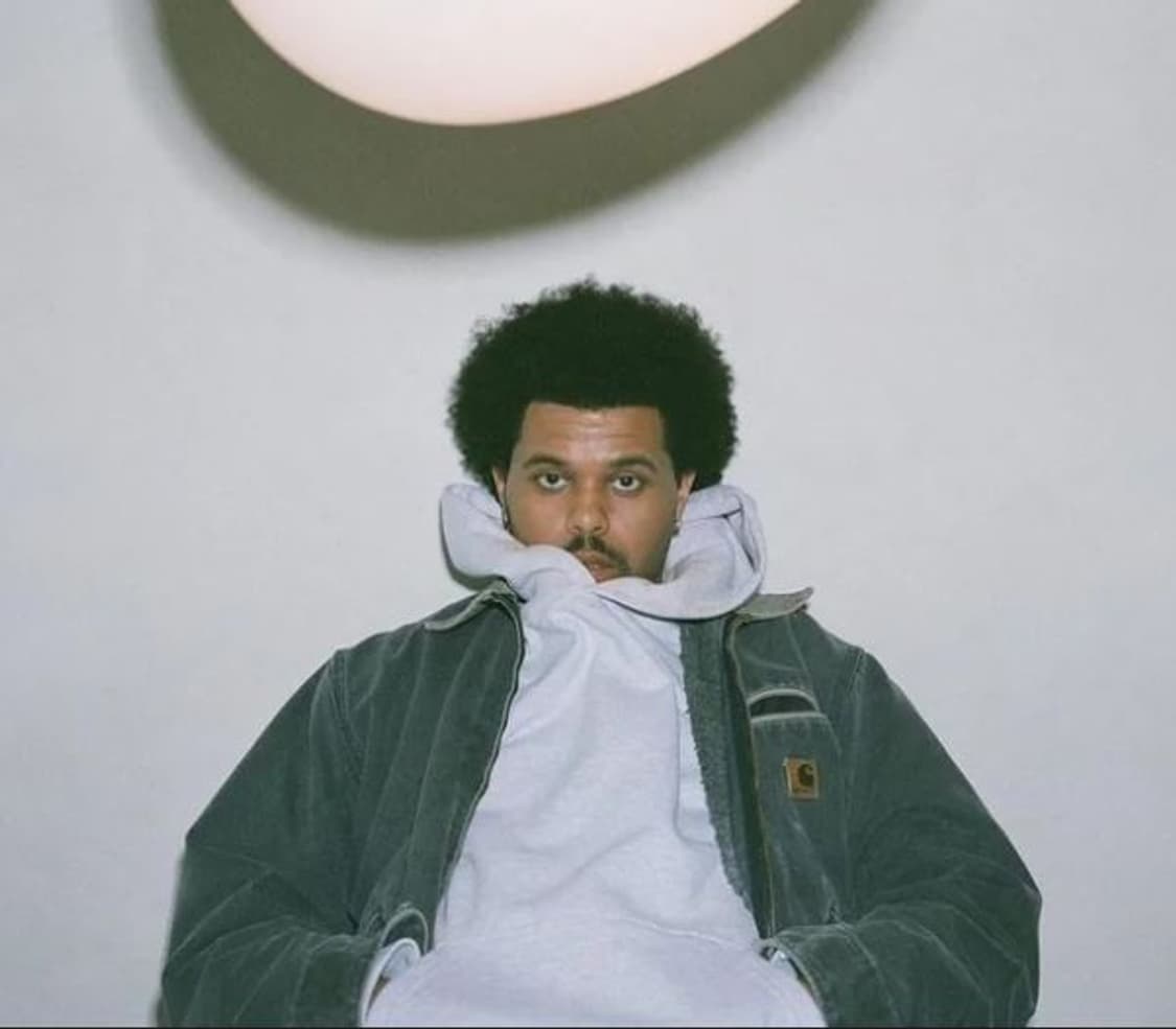 (XL) 칼하트 디트로이트 자켓 J97 PTL 패트롤 상품이미지10