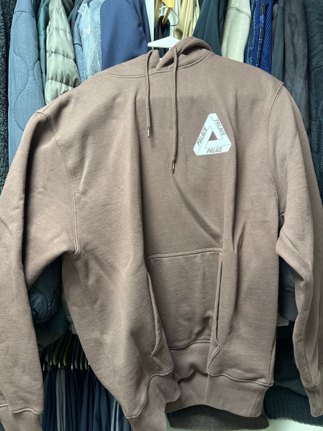 팔라스 트라이 드래곤 후드 브라운 (L) 상품이미지2