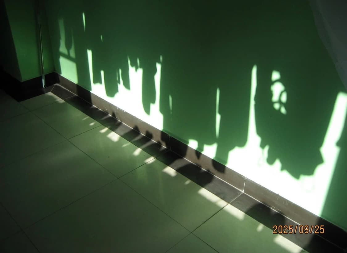 캐논 익서스 65 CANON IXUS 65 빈티지 디지털카메라 디카 상품이미지5