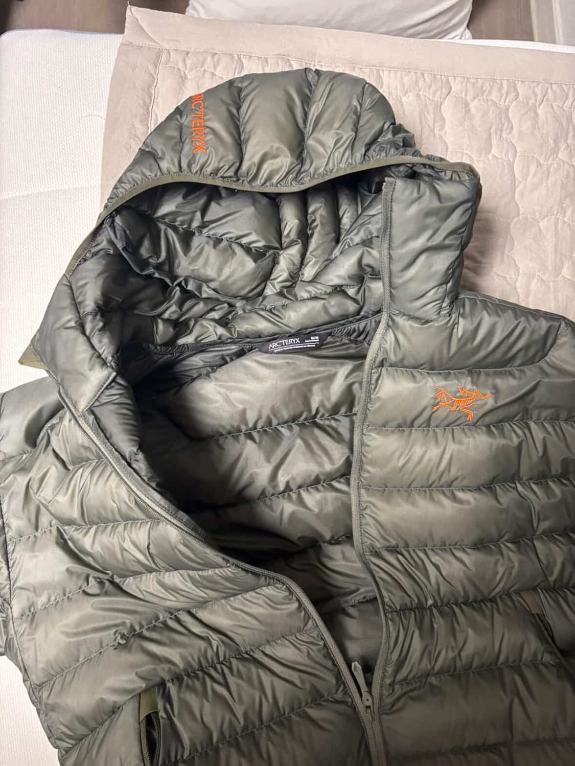 아크테릭스 세륨 후디 포리지 베르베 m 상품이미지2