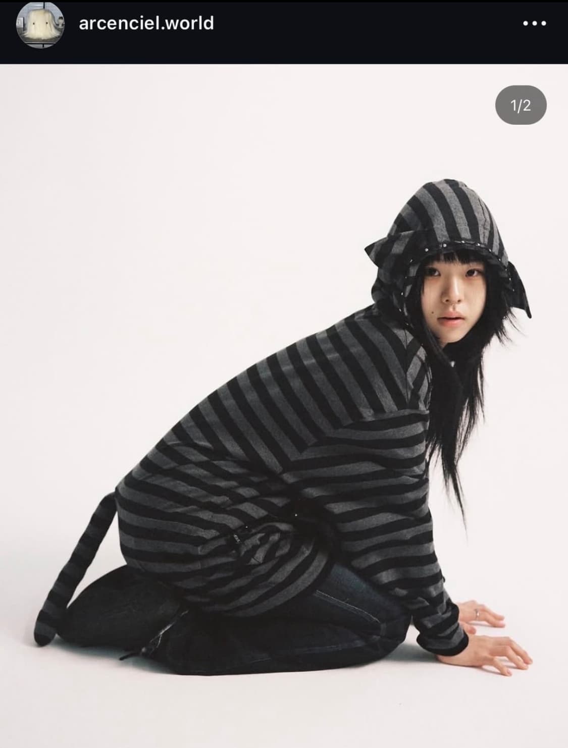 아컨시엘 emo cat hoodie 초판 디자인 상품이미지1