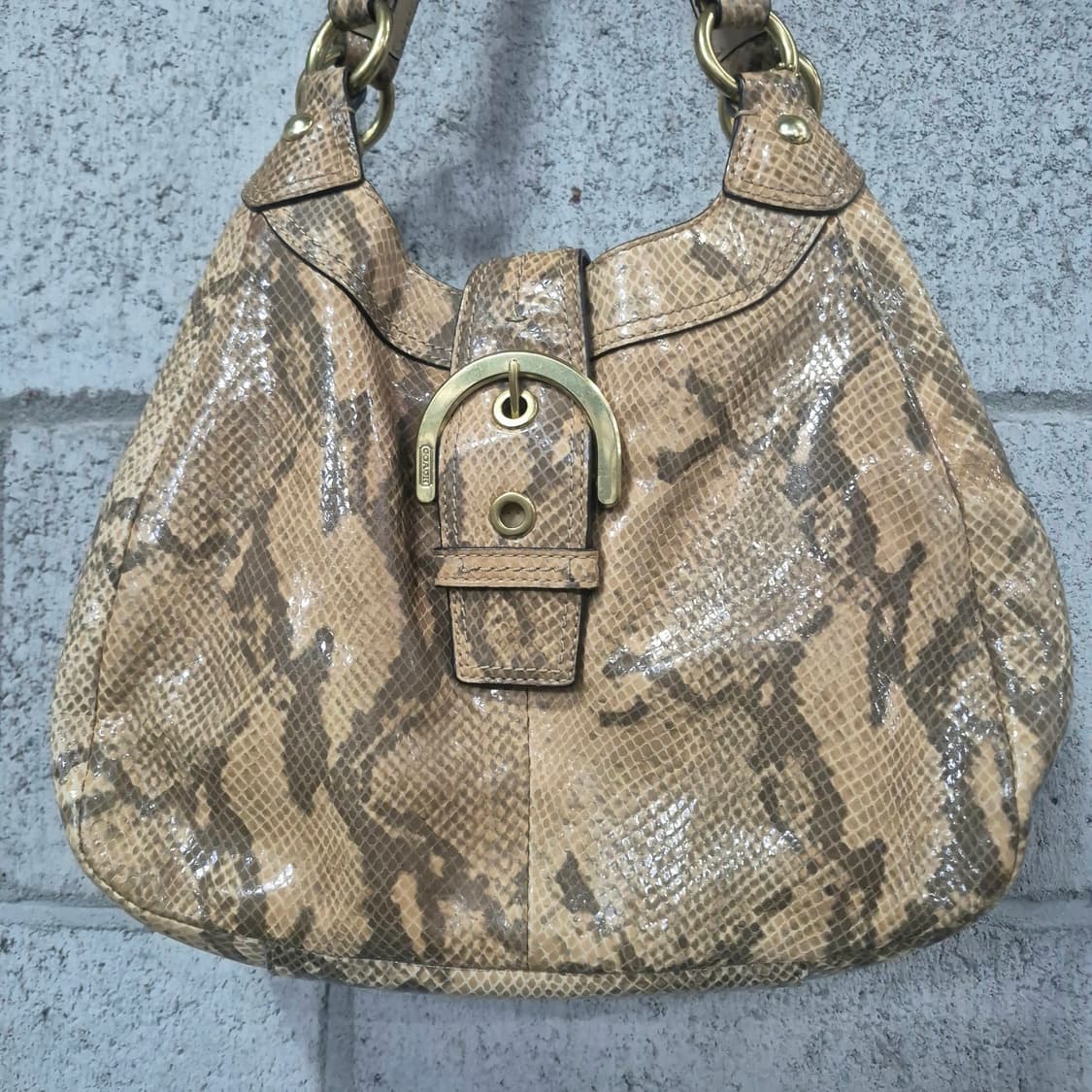 코치 파이톤 호보백 상품이미지2