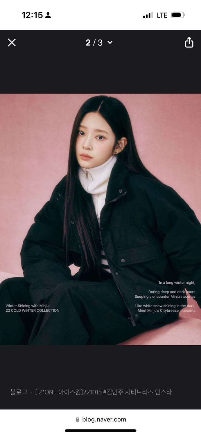 시티브리즈 덕다운 패딩(그레이,블랙) 상품이미지3