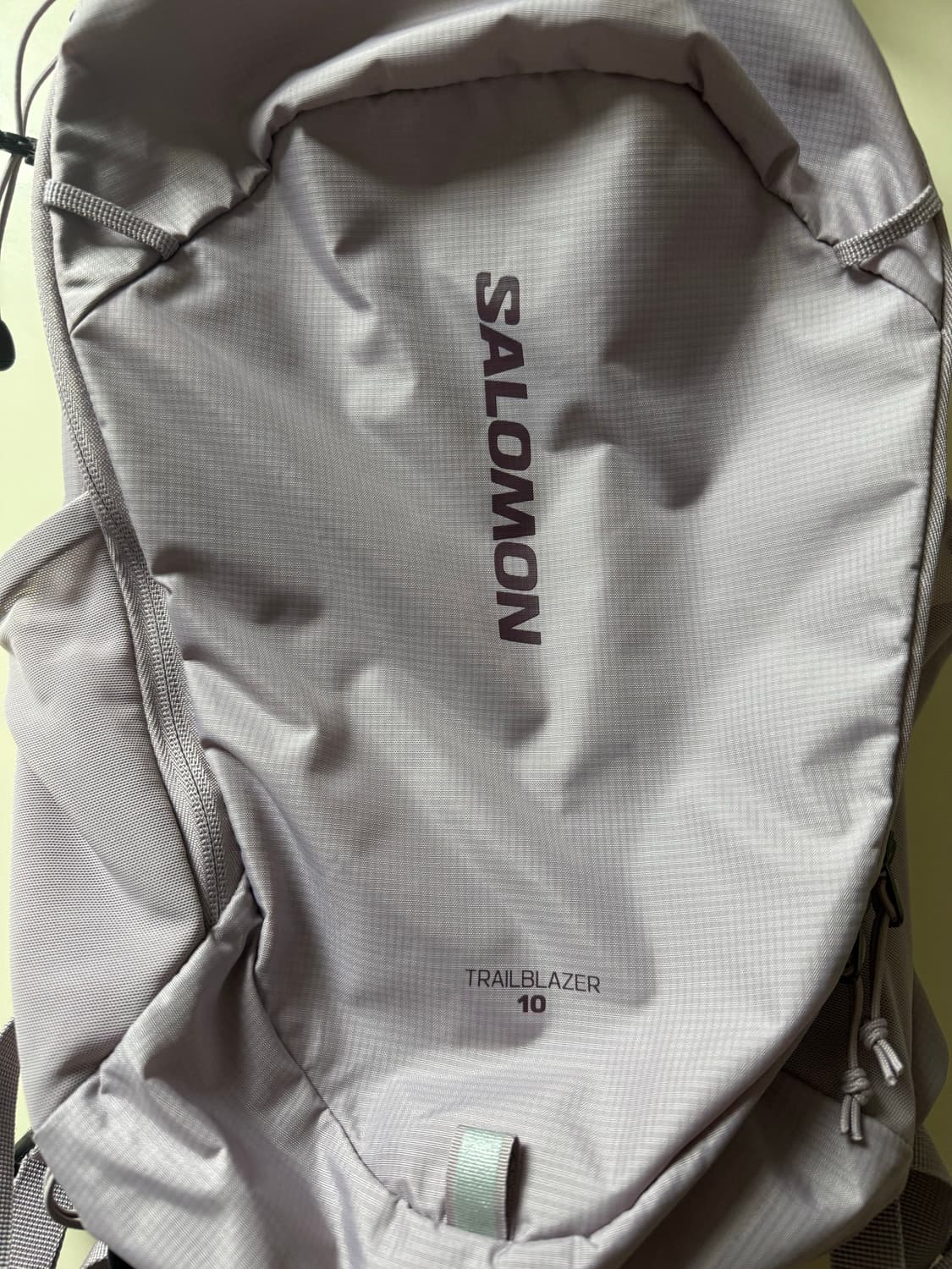 Salomon Trailblazer 10 Light Pink 상품이미지3