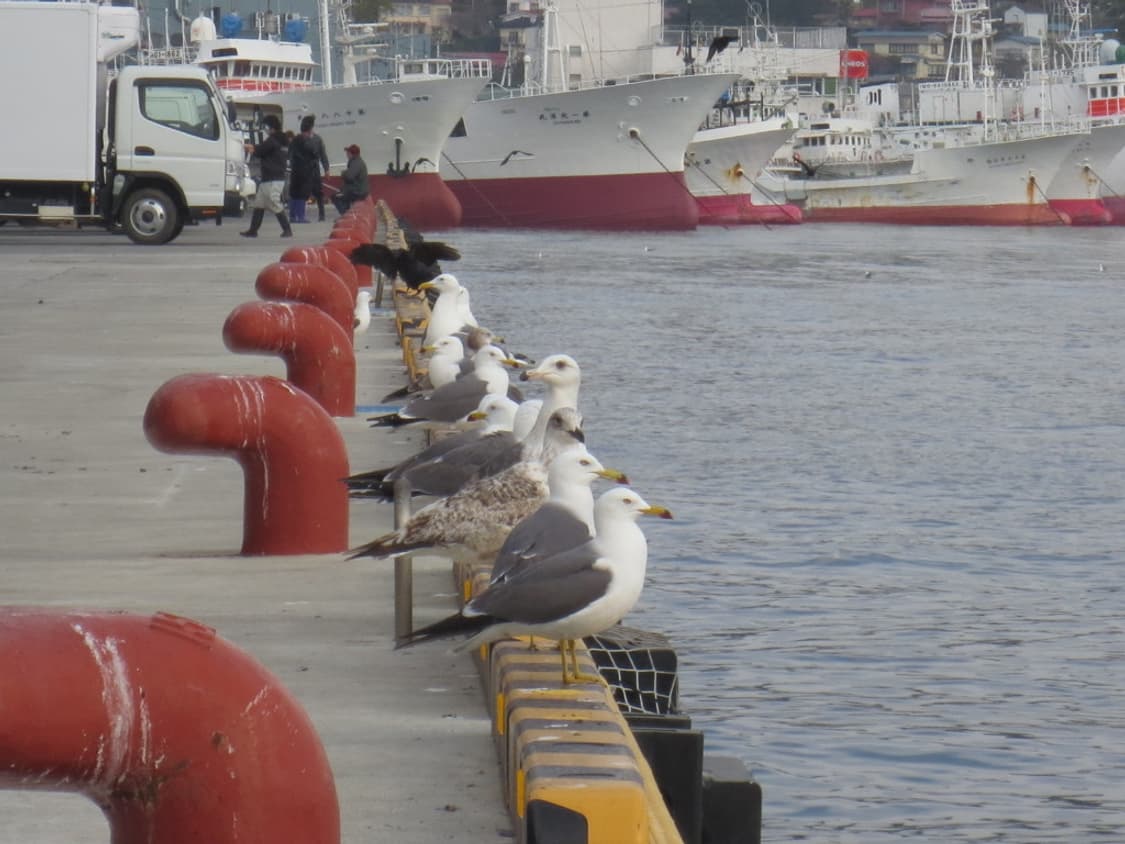 캐논 익서스 Canon IXUS 125 HS 실버 상품이미지3