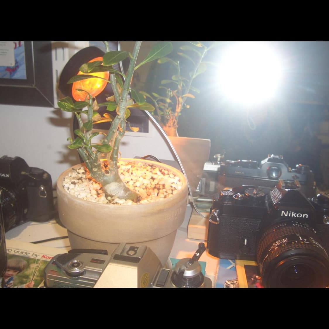 작례⭕️ 카시오 엑슬림 EX-Z57 상품이미지6