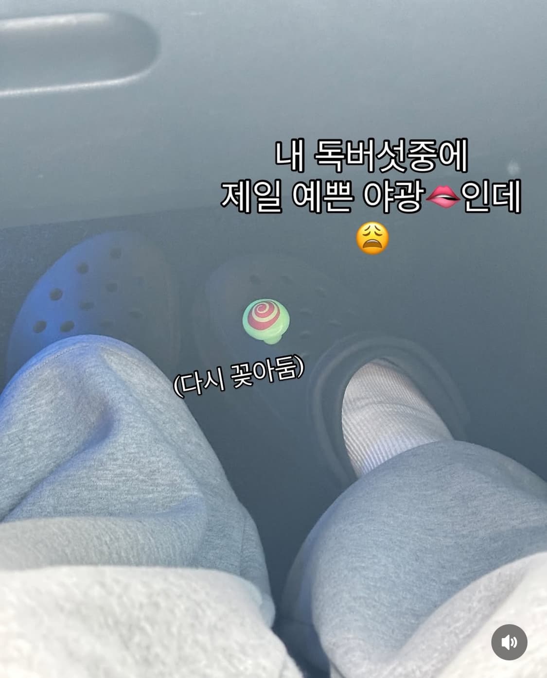 크록스 지비츠 야광 버섯쉬룸스 5개 세트 상품이미지5