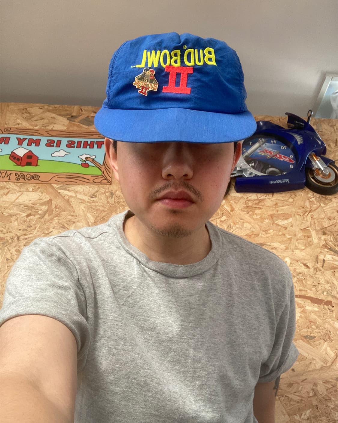 USA Budweiser Bud Bowl nylon 캡 상품이미지6