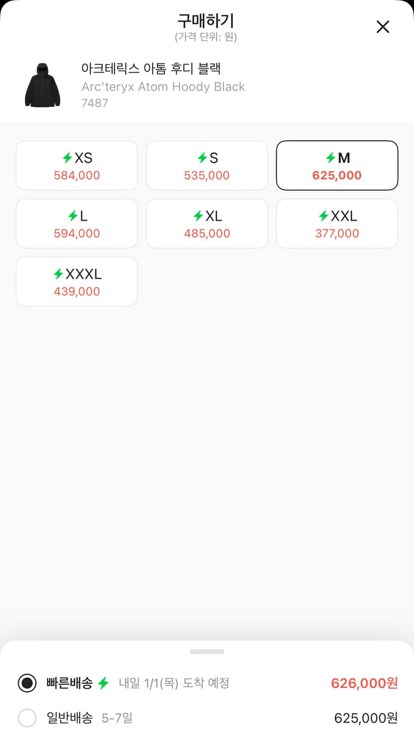 아크테릭스 아톰 후디 M 상품이미지9