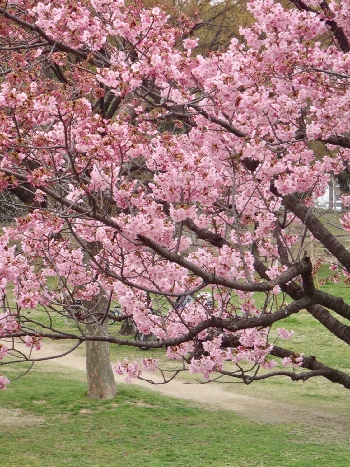 (풀박스)올림푸스 OLYMPUS Tough 8010 실버 상품이미지2