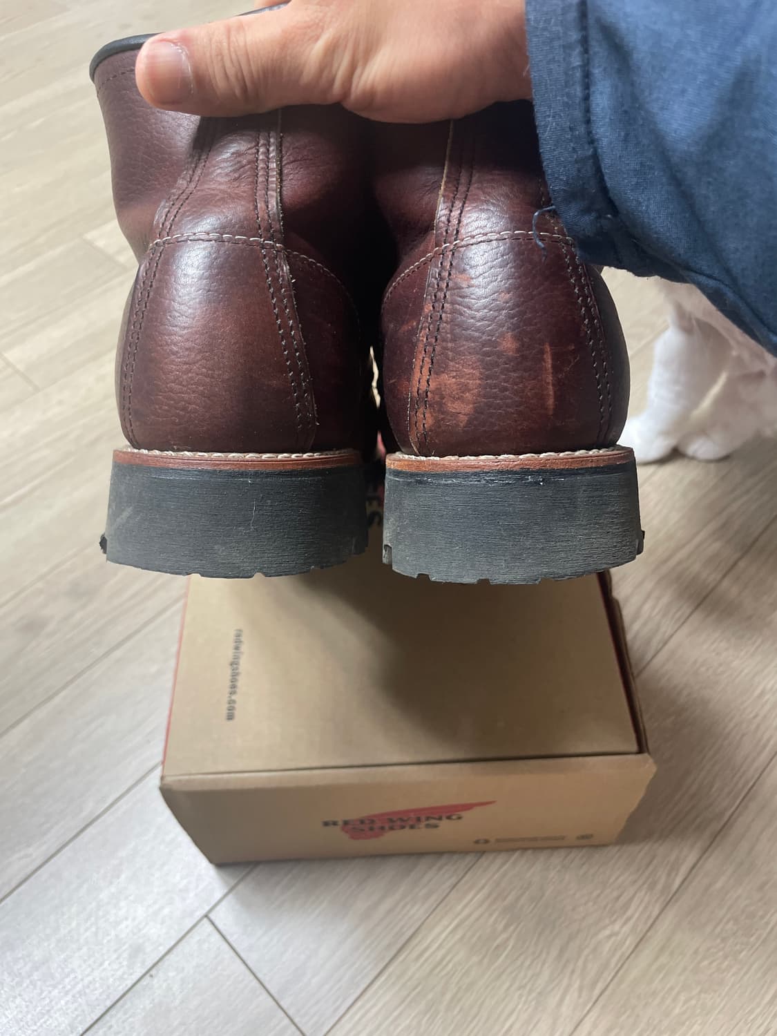 레드윙8146 상품이미지6