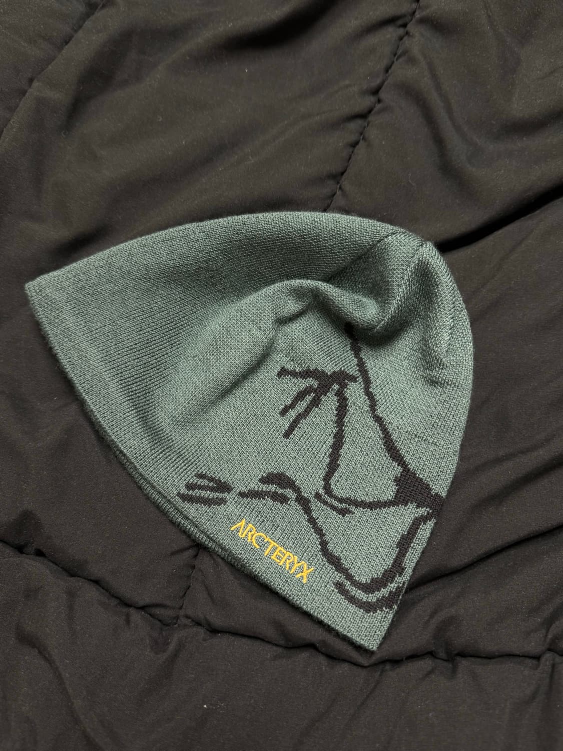 아크테릭스 버드 헤드 토크 다크 매직 상품이미지1