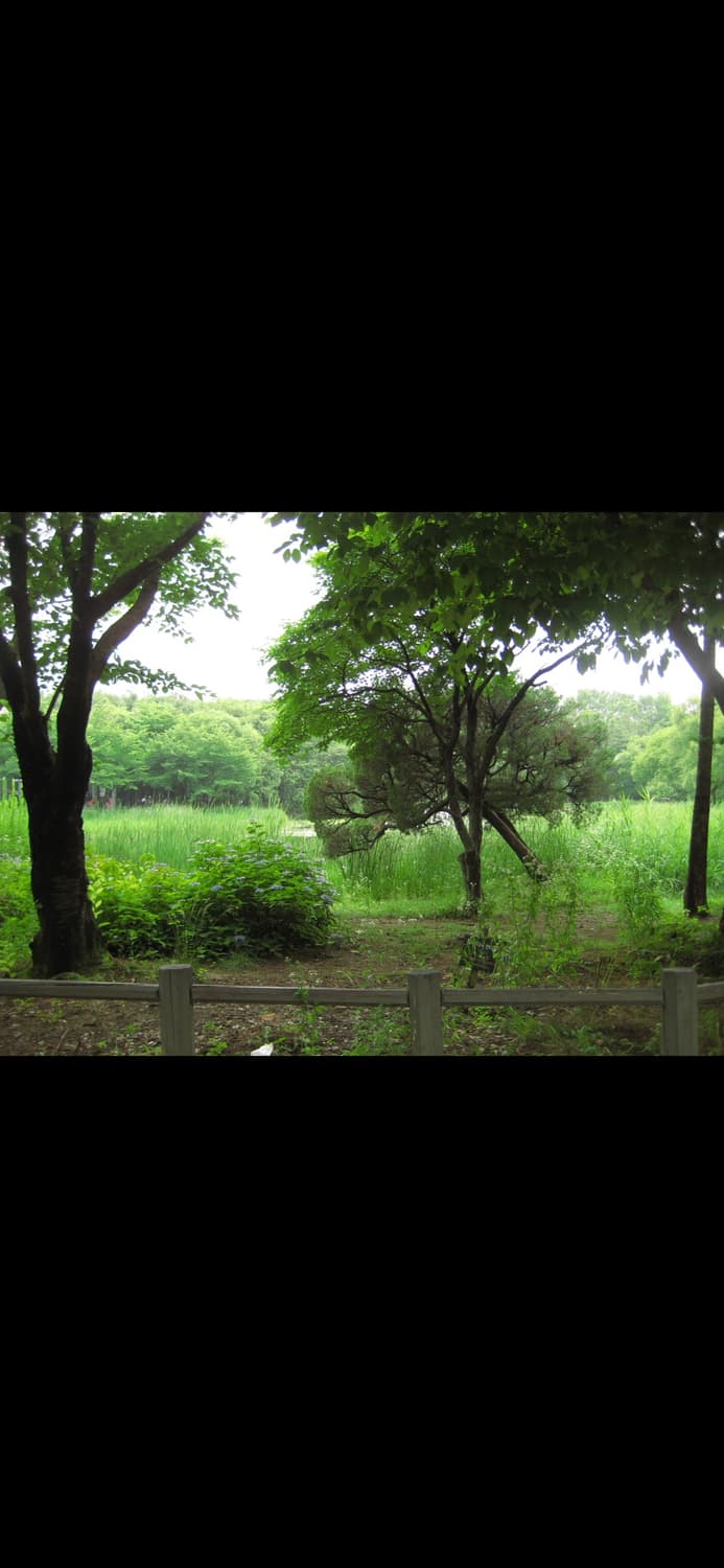 캐논 익서스 70 ixus70 상품이미지7