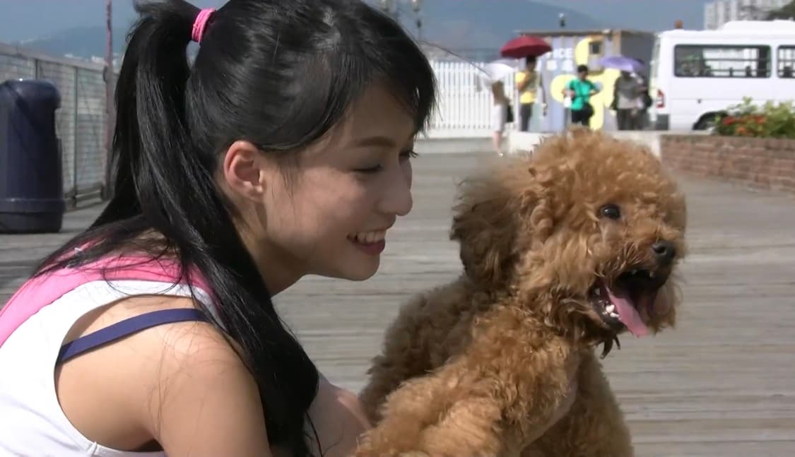 (슬림핏/카메라 가방) JVC everio GZ-X900 빈티지캠코더 상품이미지9