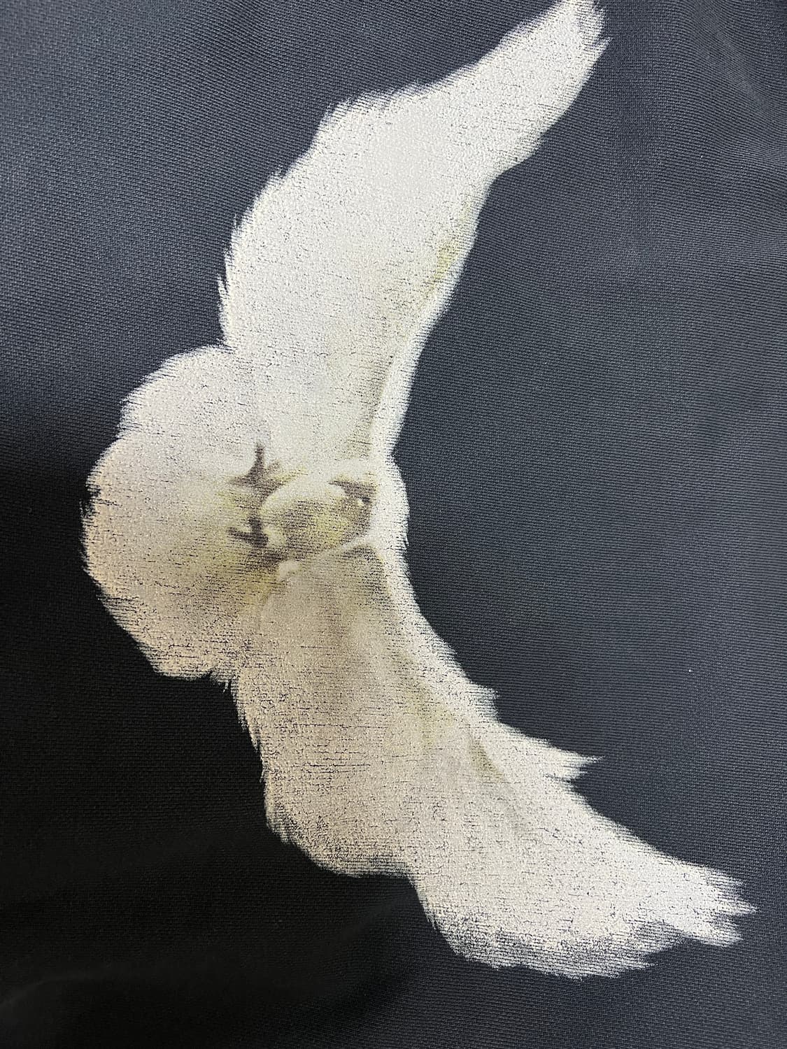 이지갭 도브 워시드 블랙 후드 s 상품이미지2