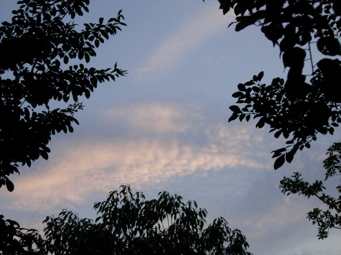 니콘 쿨픽스 p3 (nikon coolpix p4) 상품이미지10