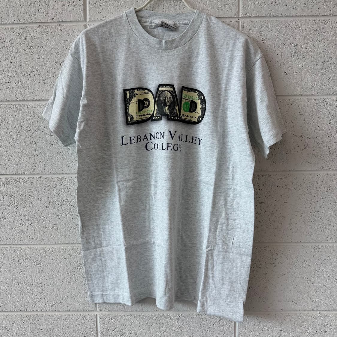 90s Vintage Lebanon Valley College 상품이미지1