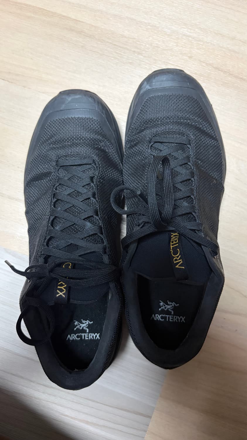 아크테릭스 에어리어스 FL2 GTX 상품이미지6