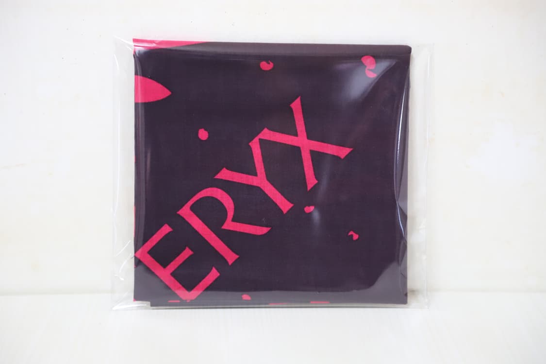 Arc'teryx Handkerchief(아크테릭스 소수건) 상품이미지4