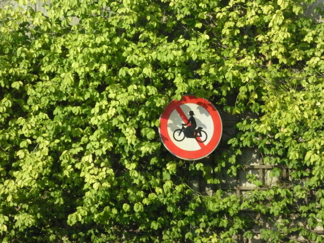 산요작티cg110 캠코더 상품이미지8