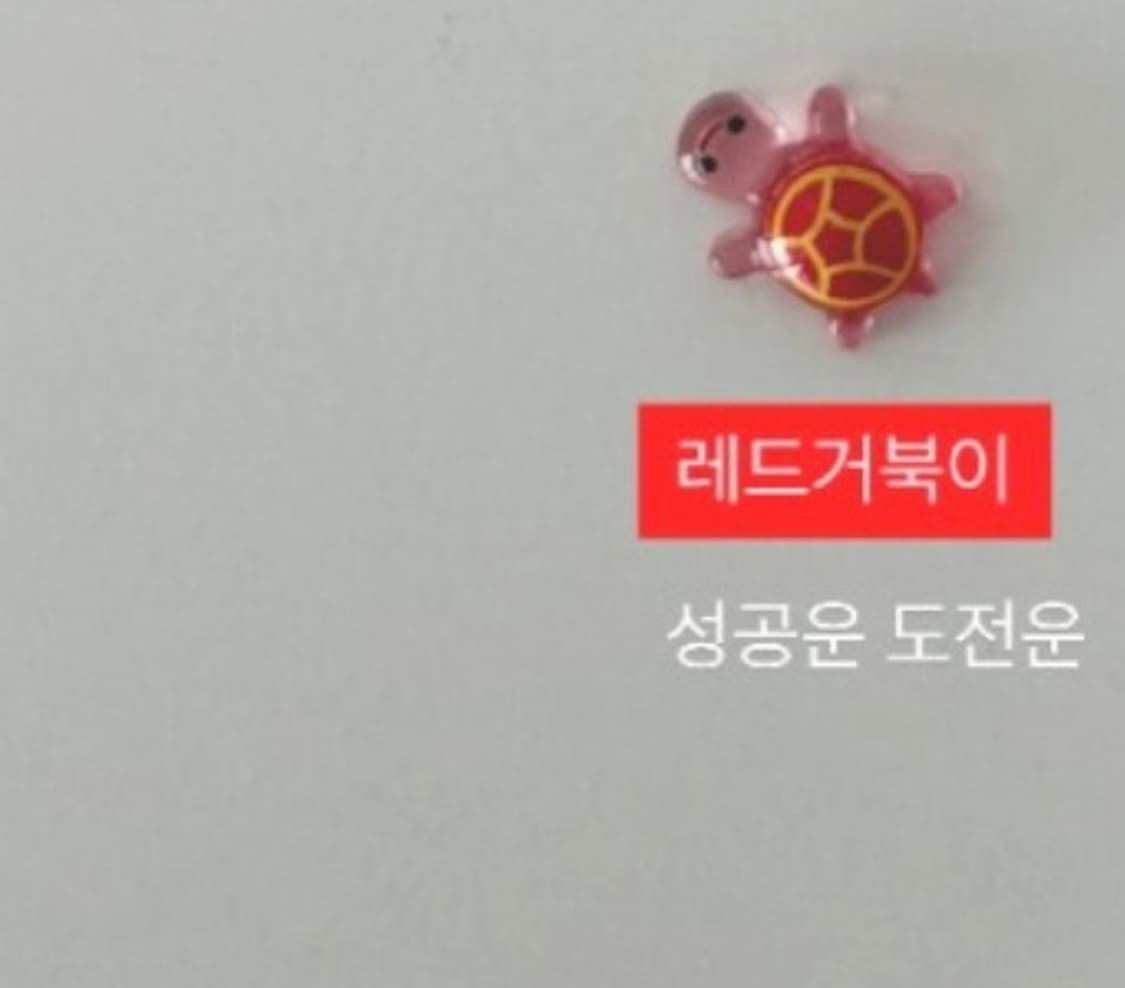 아이폰17프로 케이스 상품이미지2
