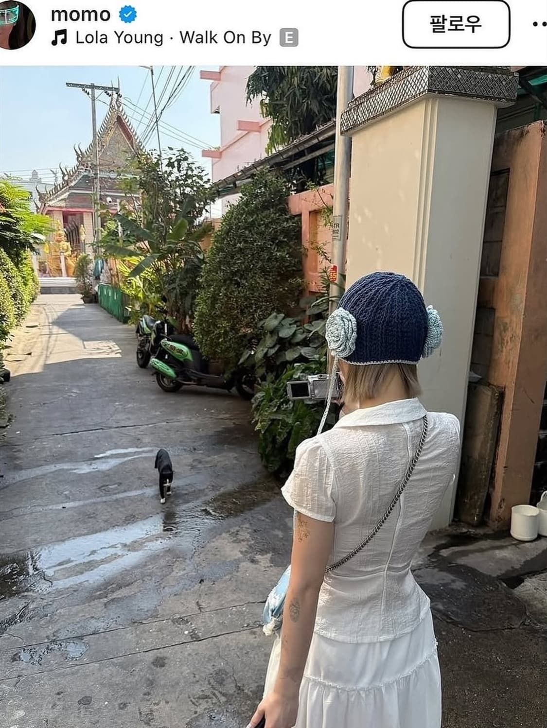 캐논 파워샷 A650 IS 셀피캠 💓모모카메라 상품이미지4