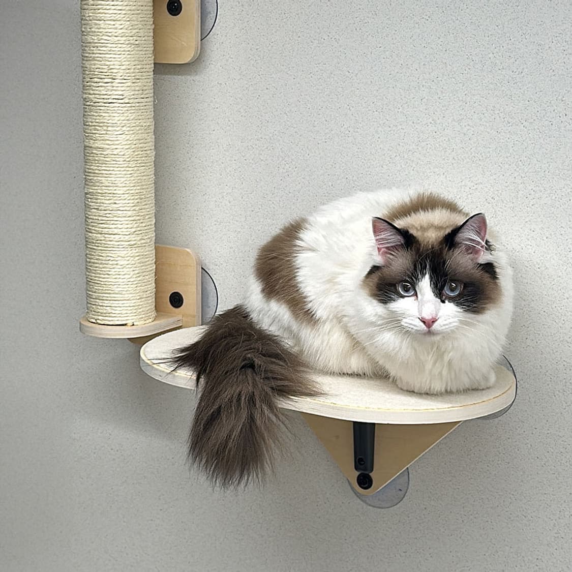 펫로지 고양이 창문 해먹 소파형 캣타워 미개봉  PetRozy Cat 상품이미지2