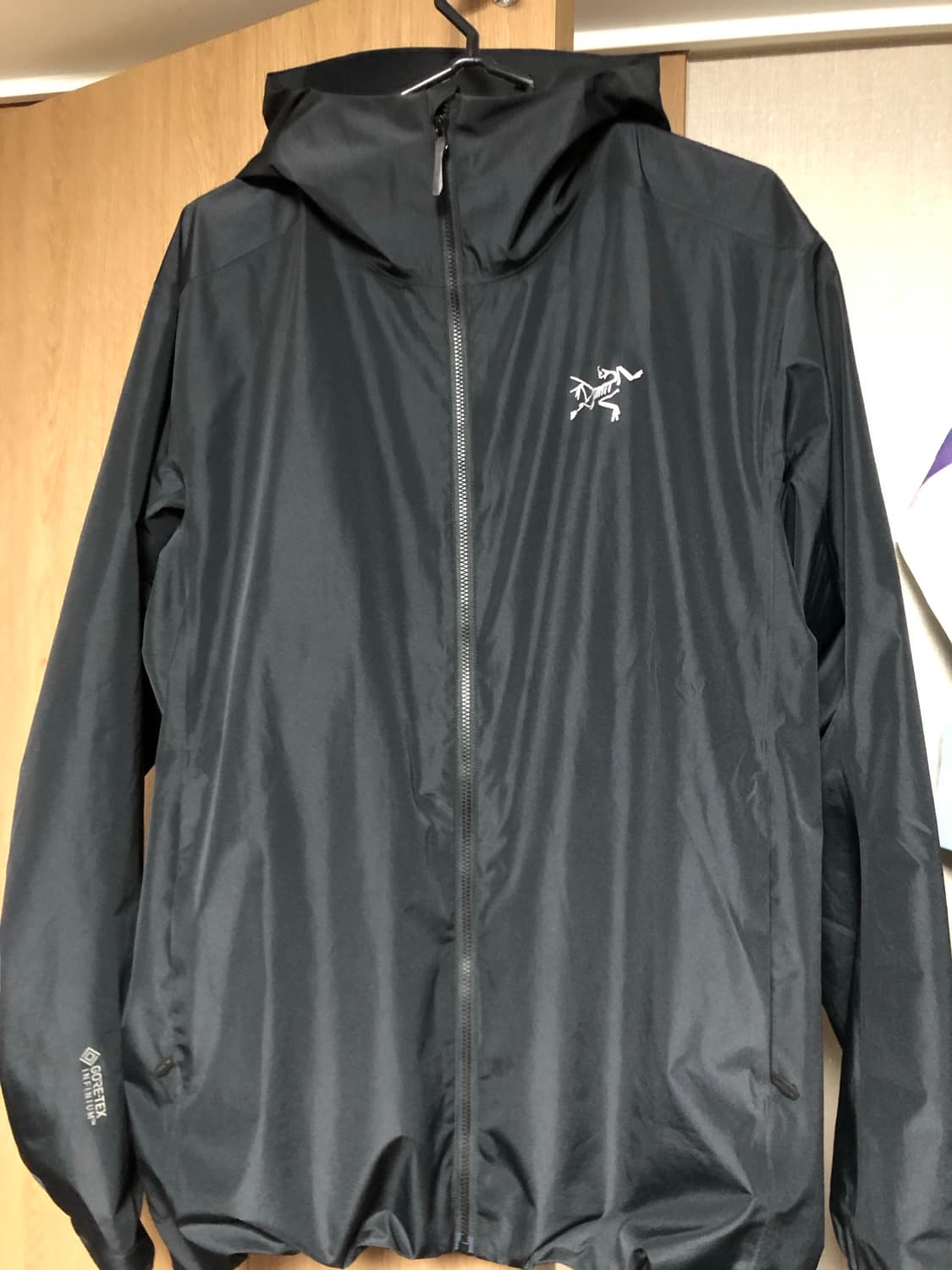 아크테릭스 솔라노 후디 블랙 신형 M 상품이미지1