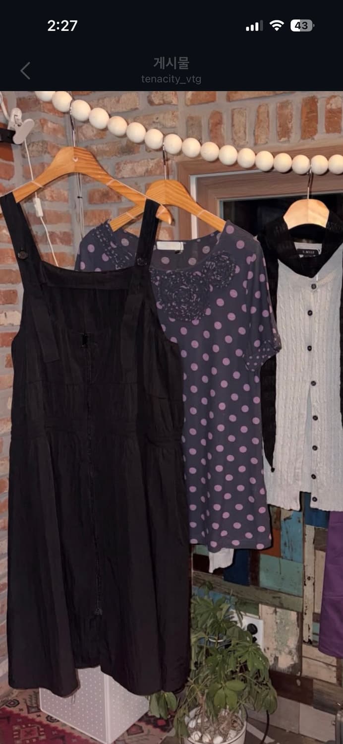 Tenacity 테나시티 빈티지 아플리케 도트 반팔 상품이미지5